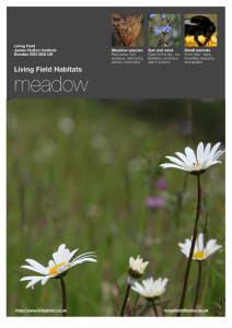 Meadow poster (Living Field)