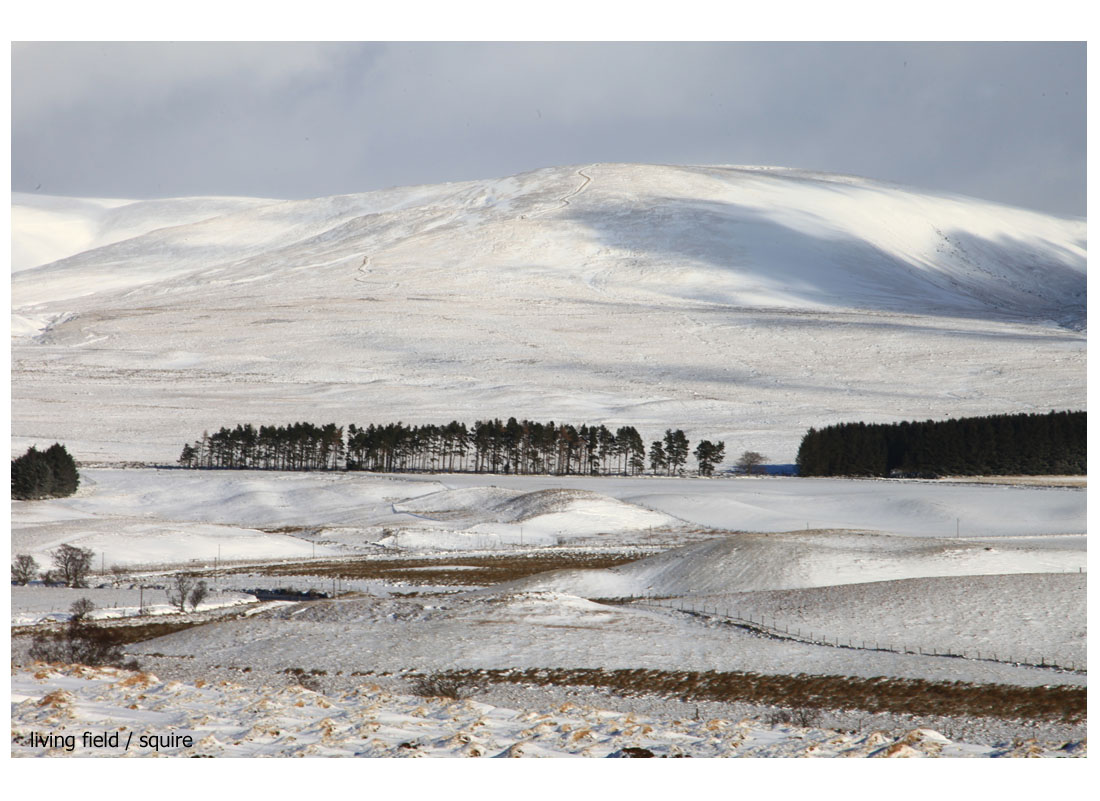 Across grazing land to the hills, Glen Clova, Angus, 1 Feb (Living Field / Squire)