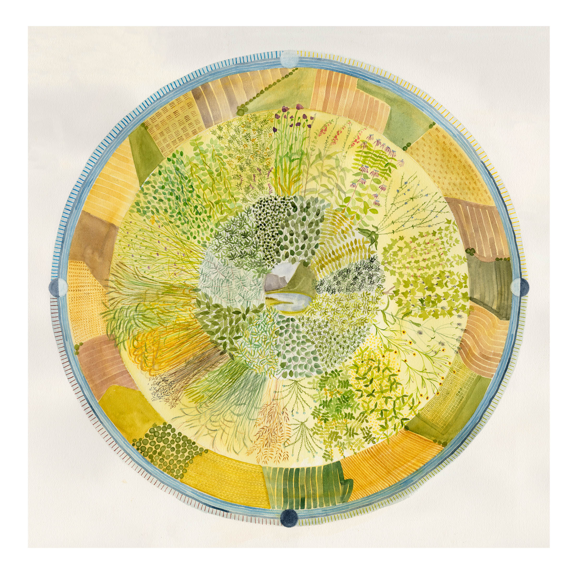 Wheel of plants (Jean Duncan)